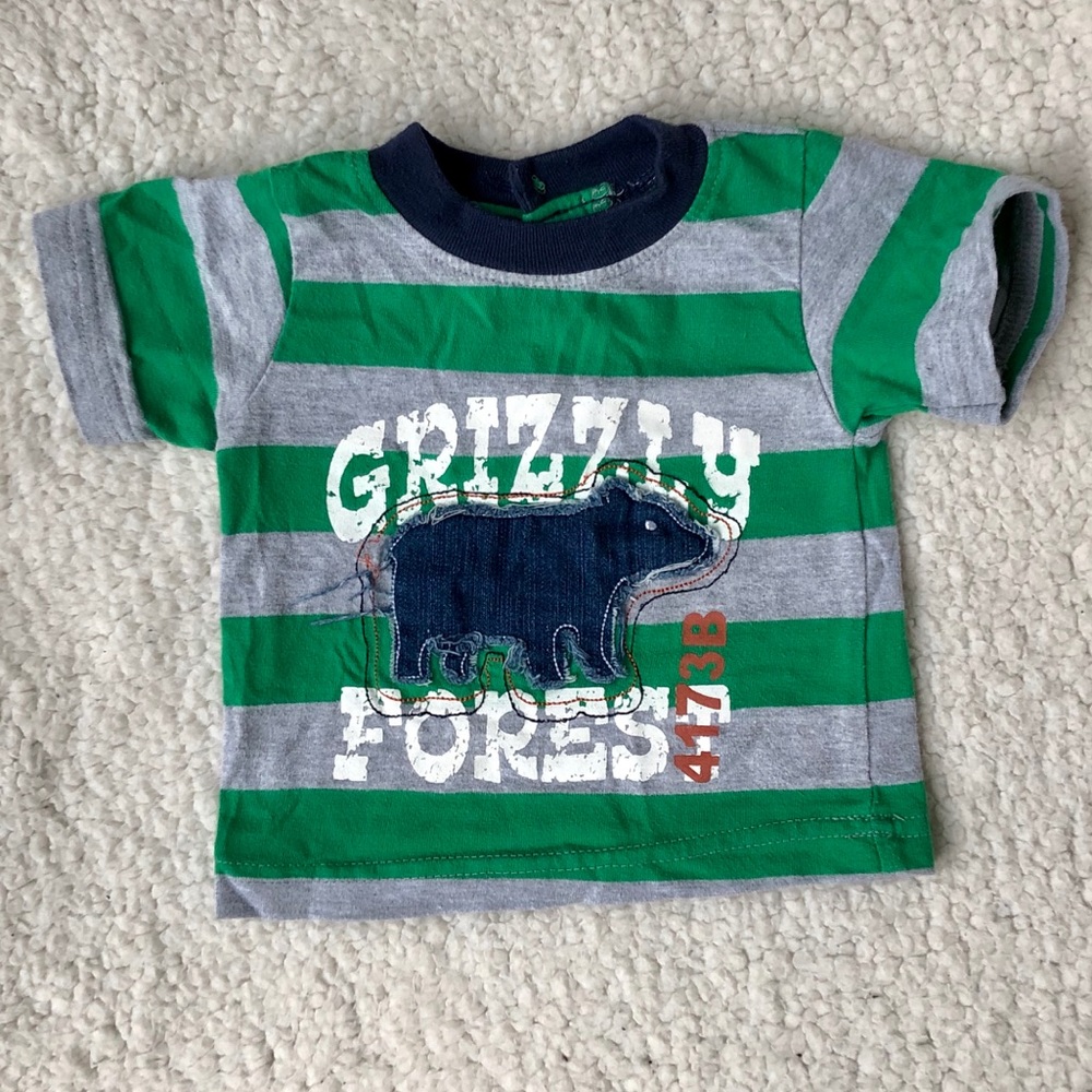 ⭐️4/$20⭐️ Grizzly Bear 🐻 t-shirt